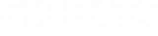 Logo Skidata