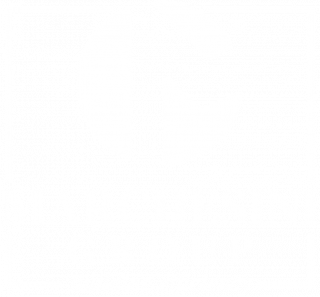 Logo Marchesini Group